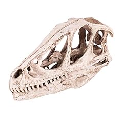 Leylor dinosaur skull for sale  Delivered anywhere in UK