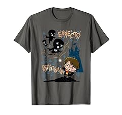 Harry potter expecto usato  Spedito ovunque in Italia 