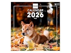Finocam calendrier mural d'occasion  Livré partout en France