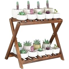 Tovacu small plant for sale  Delivered anywhere in USA 