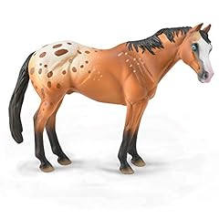 Appaloosa stallion for sale  Delivered anywhere in USA 