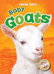 Baby goats for sale  Delivered anywhere in USA 