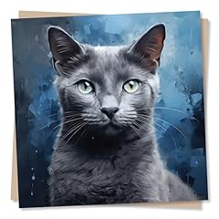 Beautiful grey cat for sale  Delivered anywhere in UK