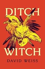 Ditch witch 1 usato  Spedito ovunque in Italia 