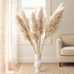 Tall pampas grass for sale  Delivered anywhere in USA 