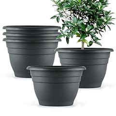 Rootrimmer plant pots for sale  Delivered anywhere in USA 