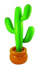 Henbrandt cactus messicano usato  Spedito ovunque in Italia 