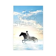 Movie black stallion for sale  Delivered anywhere in USA 