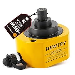 Newtry hydraulic ram for sale  Delivered anywhere in USA 