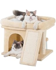 Aechonow 14in cat for sale  Delivered anywhere in USA 