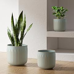 Tauci fluted ceramic for sale  Delivered anywhere in USA 