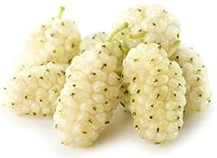 Generic year old for sale  Delivered anywhere in USA 