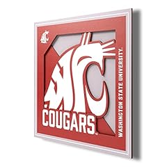 Youthefan ncaa washington for sale  Delivered anywhere in USA 