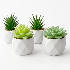 Grifto fake plants for sale  Delivered anywhere in UK