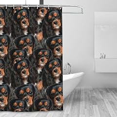 Funny cavalier king for sale  Delivered anywhere in USA 