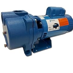 Goulds pumps gt20 for sale  Delivered anywhere in USA 