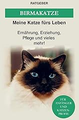 Heilige birma katze gebraucht kaufen  Wird an jeden Ort in Deutschland