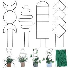 Wellsign indoor plant for sale  Delivered anywhere in USA 
