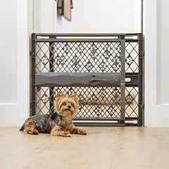 Mypet north states for sale  Delivered anywhere in USA 
