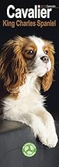 cavalier king charles non lof d'occasion cavalier king charles non lof d'occasion Livré partout en France