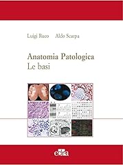 Anatomia patologica. basi usato  Spedito ovunque in Italia 