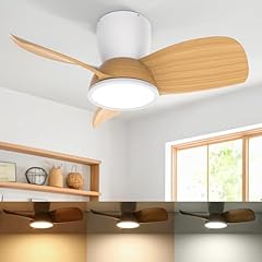 Ateroll ventilatore soffitto usato  Spedito ovunque in Italia 