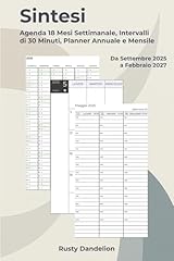 Sintesi agenda mesi usato  Spedito ovunque in Italia 