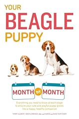 Beagle puppy month for sale  Delivered anywhere in UK