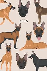 Belgian malinois dog for sale  Delivered anywhere in USA 