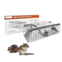 Homestead live rat for sale  Delivered anywhere in USA 