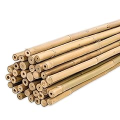 Plantawa tuteur bamboo d'occasion  Livré partout en Belgiqu