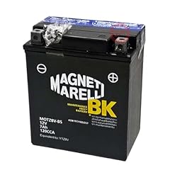 Magneti marelli 8001064000045 usato  Spedito ovunque in Italia 