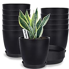Swinduck plant pots for sale  Delivered anywhere in USA 