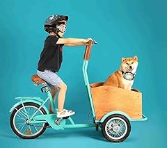 Triciclo cargobike tre usato  Spedito ovunque in Italia 