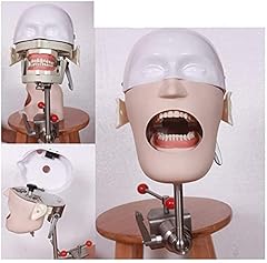 Teaching model head for sale  Delivered anywhere in UK