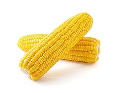 Mais bio 400 usato  Spedito ovunque in Italia 