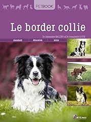 Border collie d'occasion  Livré partout en France