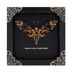 Death head moth for sale  Delivered anywhere in USA 