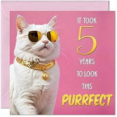 5th cat birthday for sale  Delivered anywhere in UK