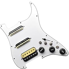 Perfeclan guitar loaded gebraucht kaufen  Wird an jeden Ort in Deutschland