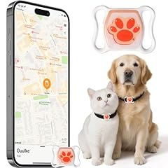 Cat tracker indoor for sale  Delivered anywhere in USA 