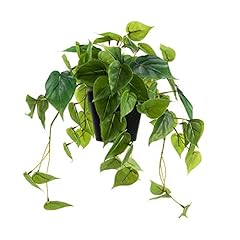 Luckygreenery artificial scind for sale  Delivered anywhere in USA 