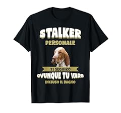 Bracco italiano cane usato  Spedito ovunque in Italia 