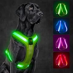 Koskill led hundegeschirr gebraucht kaufen  Wird an jeden Ort in Deutschland