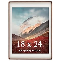 Zibrelte 18x24 frame for sale  Delivered anywhere in USA 
