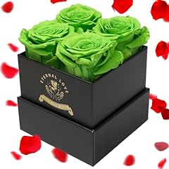 Nietiy green forever for sale  Delivered anywhere in USA 