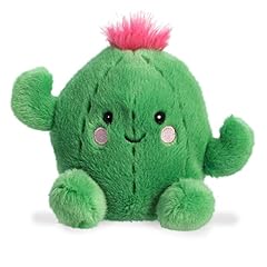 Aurora adorable palm for sale  Delivered anywhere in USA 