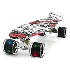 Fantecia cruiser skateboard usato  Spedito ovunque in Italia 