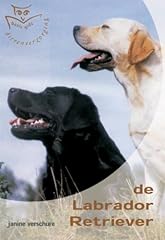 Labrador retriever d'occasion  Livré partout en Belgiqu