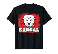Kangal anatolian shepard usato  Spedito ovunque in Italia 